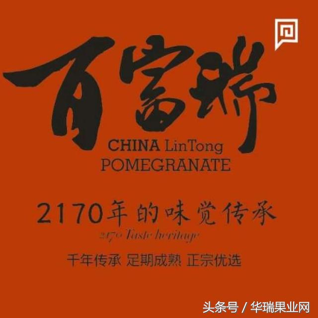 石榴树的主要害虫有哪些如何防治,石榴树蚜虫怎么除