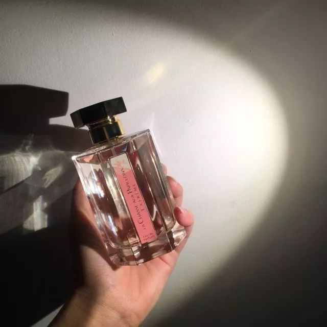 小七的生活笔记,小七的日常生活日记