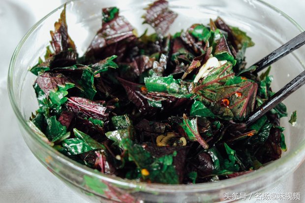 辣白菜的腌制方法韩国泡菜的做法,做泡菜的方法视频韩国泡菜做法