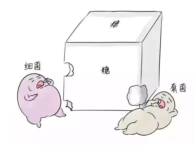 火锅虽好,但不要贪吃,小心吃出“霉菌性阴道炎”!