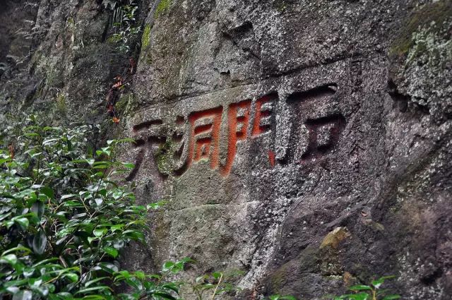 心动！浙江省内有座“欧洲小城”，一天即可来回！