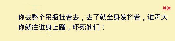我妈叫我明天陪她去打架,该不该去?网友回复太搞笑