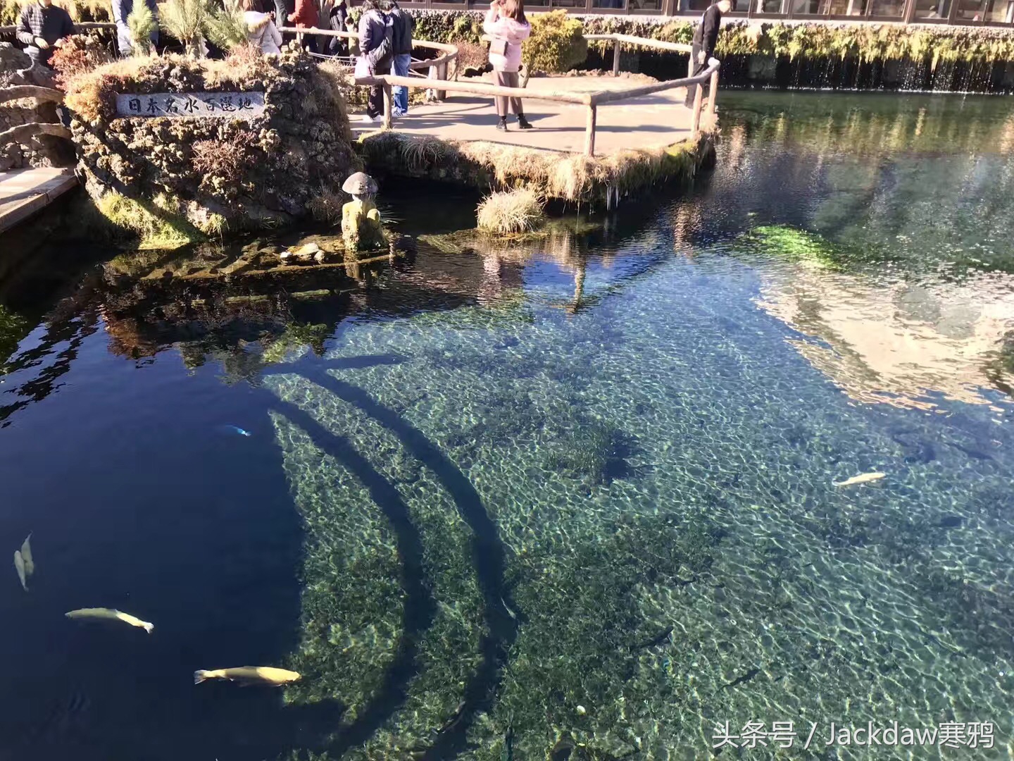 日本景点忍野八海,走进日本富士山视频