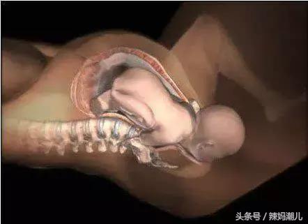 顺产是撕心裂肺的疼？高清图揭示分娩的真相！