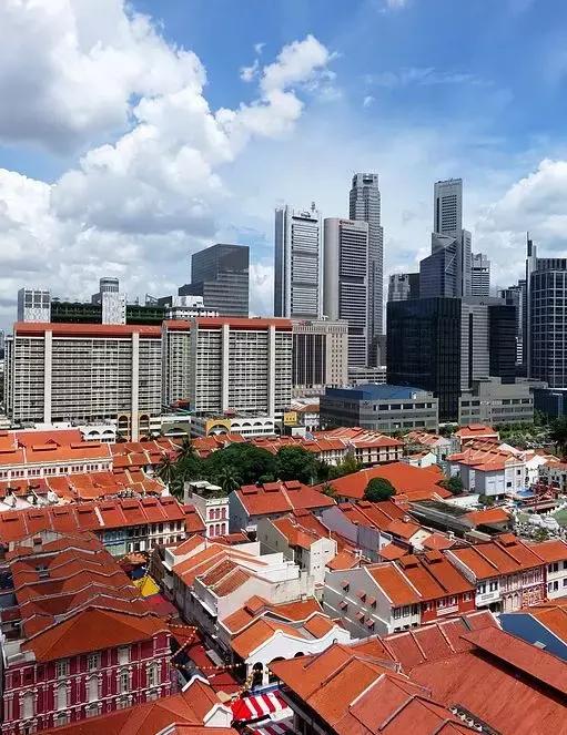 旅游达人带货为啥比官方的贵,新加坡旅游值得买东西