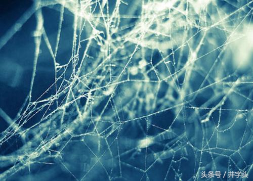 道教最重要的十三种经书南华真经,道教四大真人真经