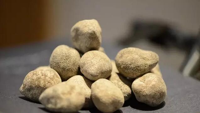 你知道世界上的鱼类有多少个,你知道的海底世界有多少种鱼