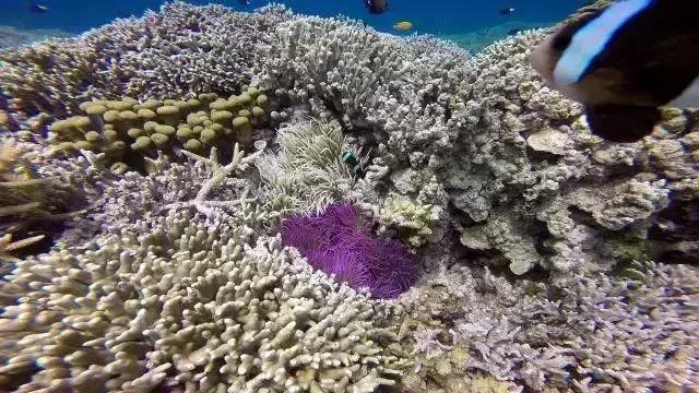 前任3美娜多,带着前任看前任3为什么都复合了