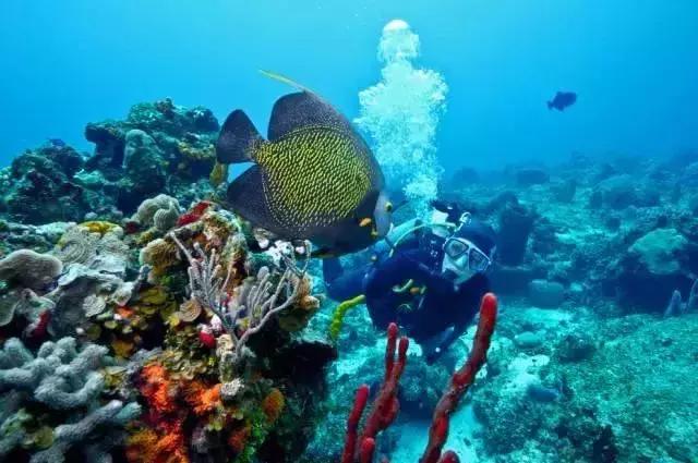 前任3美娜多,带着前任看前任3为什么都复合了