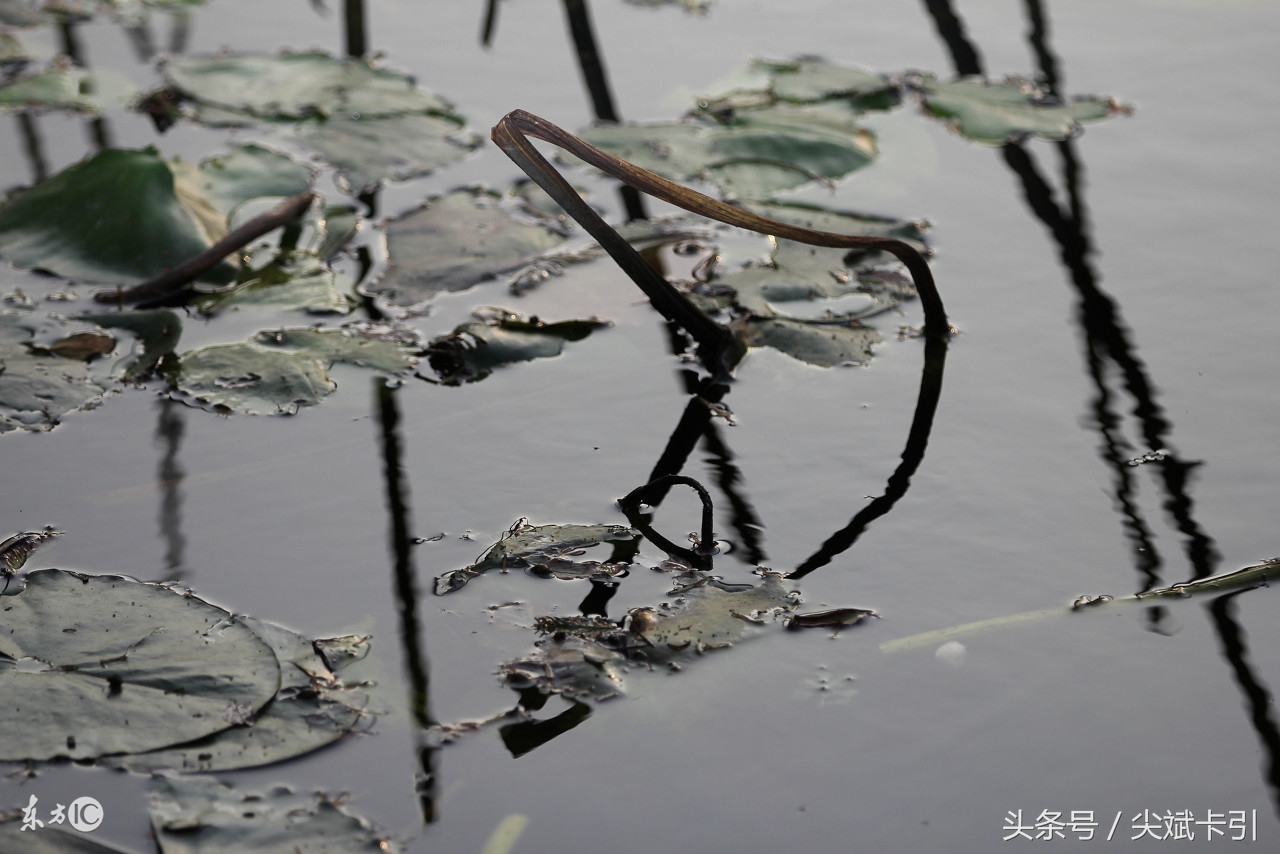 人生来就是要历劫和受苦的,人生在世就是来受罪的