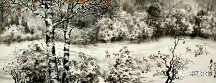 真实的大兴安岭是什么样的,探索神秘的大兴安岭