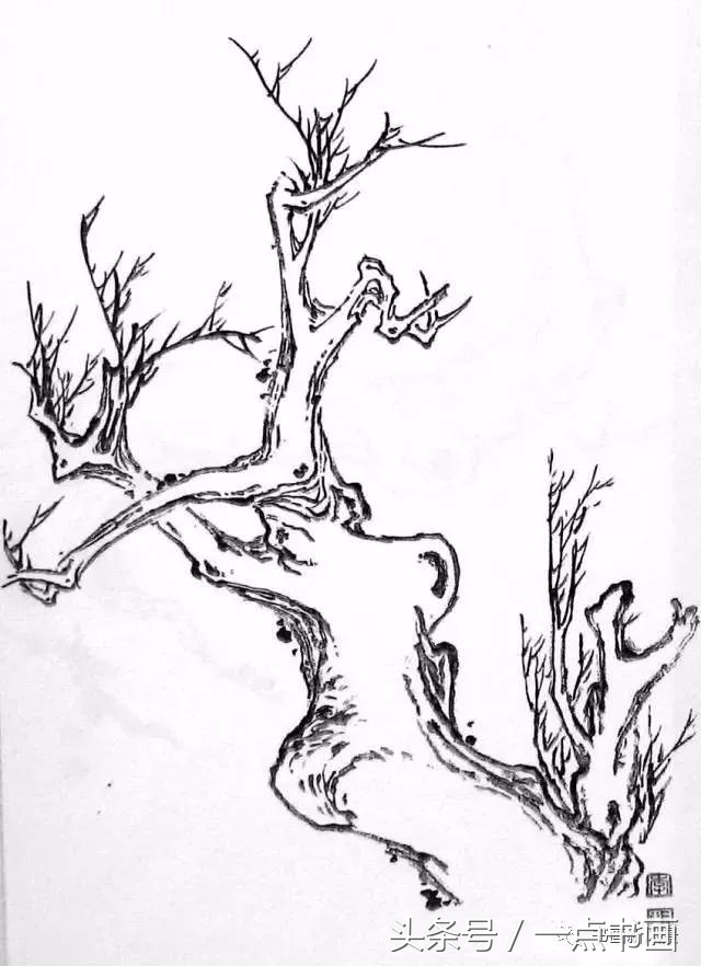 国画示范,国画老树的画法