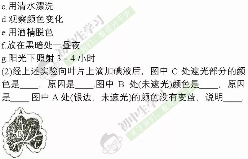 期末黄冈密卷七年级数学,期末密卷八年级