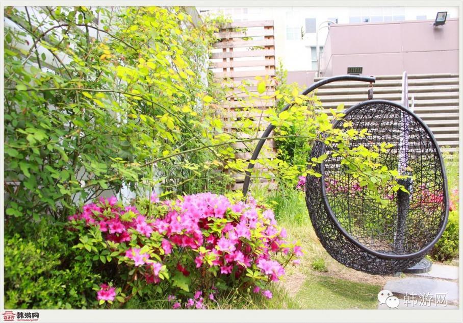 一个人首尔旅行,从首尔到釜山