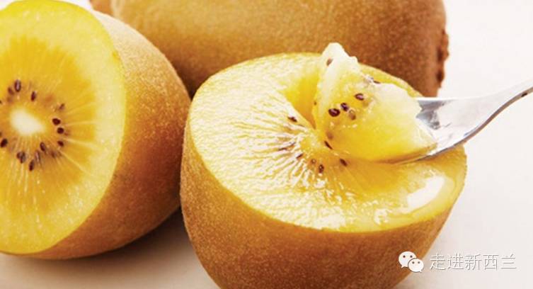 据说朋友圈都在刷新西兰奇异果!你知道它为什么是世界上最好的水果吗!