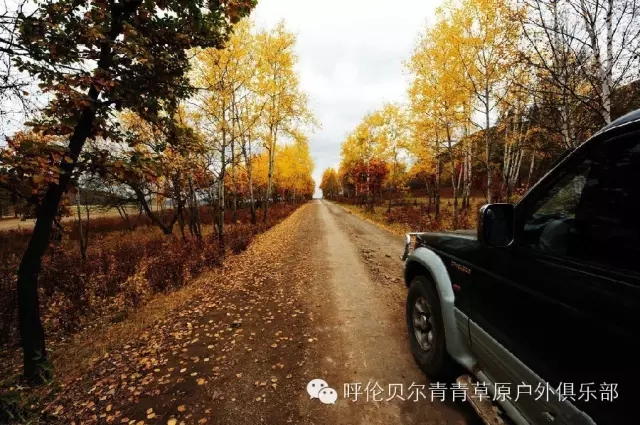 呼伦贝尔自由行攻略,呼伦贝尔自由行