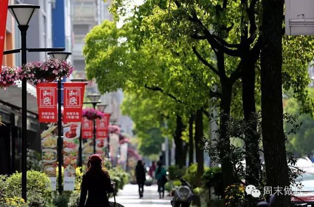 魔都最值得逛的76条马路，你都逛过了吗？