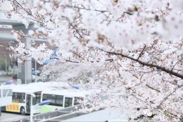 魔都最值得逛的76条马路，你都逛过了吗？