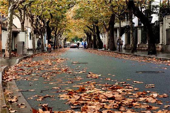 魔都最值得逛的76条马路，你都逛过了吗？