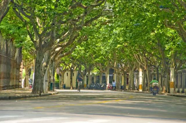 魔都最值得逛的76条马路，你都逛过了吗？