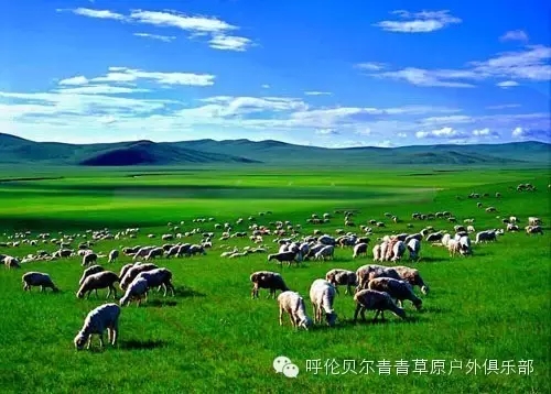 呼伦贝尔自由行攻略,呼伦贝尔自由行