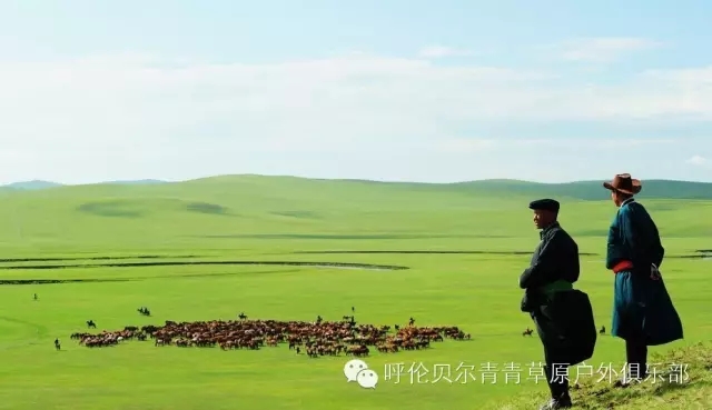 呼伦贝尔自由行攻略,呼伦贝尔自由行