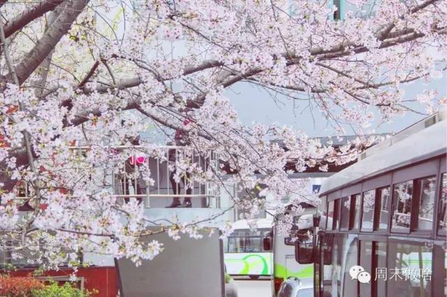 魔都最值得逛的76条马路，你都逛过了吗？