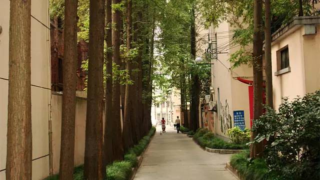 魔都最值得逛的76条马路，你都逛过了吗？