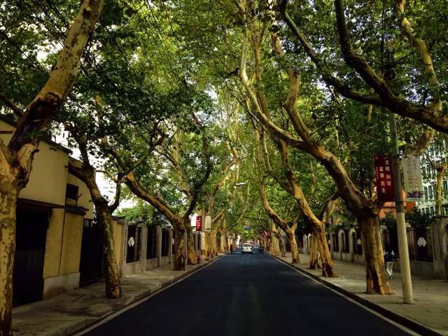 魔都最值得逛的76条马路，你都逛过了吗？