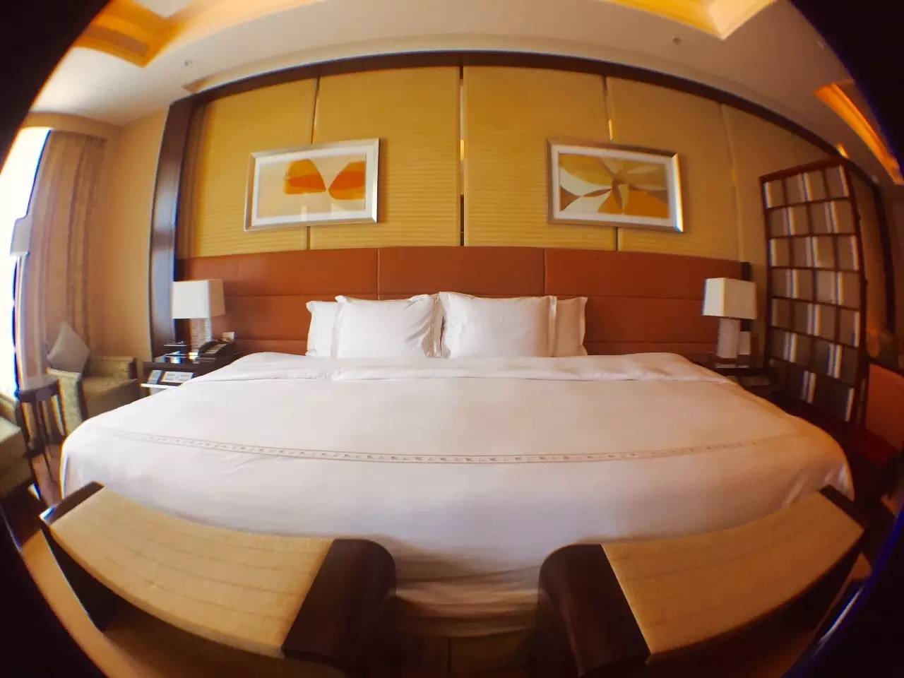 “她”这样被悦游宠爱了：营养餐、精华护理、360度造型服务、艺术中心畅游