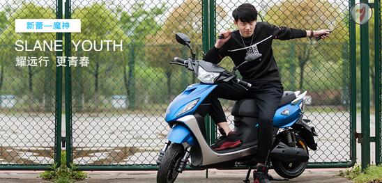 新蕾电动车智帅配置,新蕾电动车特点是什么