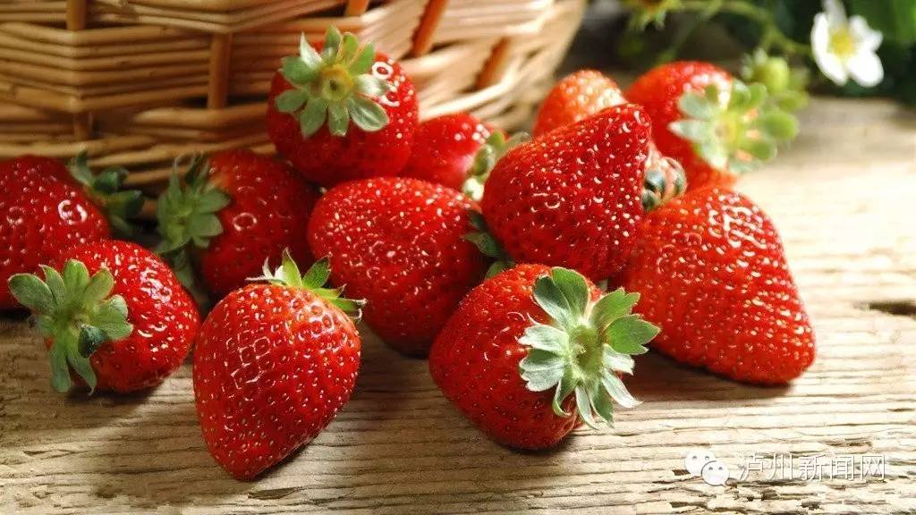 泸州哪些地方可以摘草莓,贵阳摘草莓摘桑葚摘樱桃地方