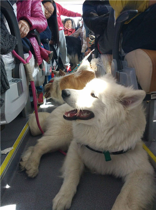 回顾欧帝亿和你相遇春の水长城