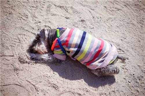 回顾欧帝亿和你相遇春の水长城