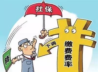 微报焦作市马村区政协副主席张同新接受组织调查