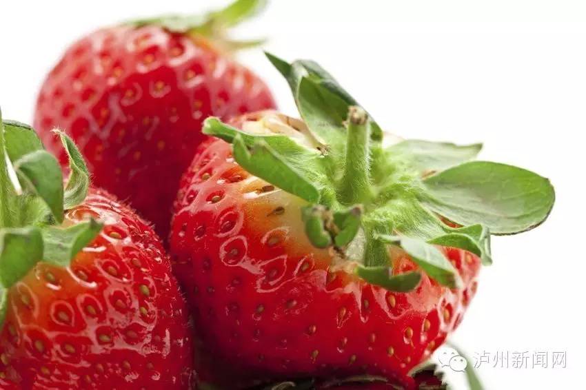 泸州哪些地方可以摘草莓,贵阳摘草莓摘桑葚摘樱桃地方