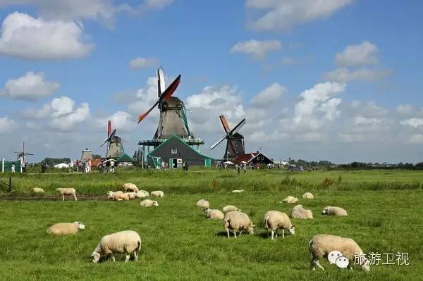 已经开放旅游签证申请的国家,现在开放旅游签证的国家