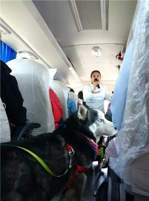 回顾欧帝亿和你相遇春の水长城