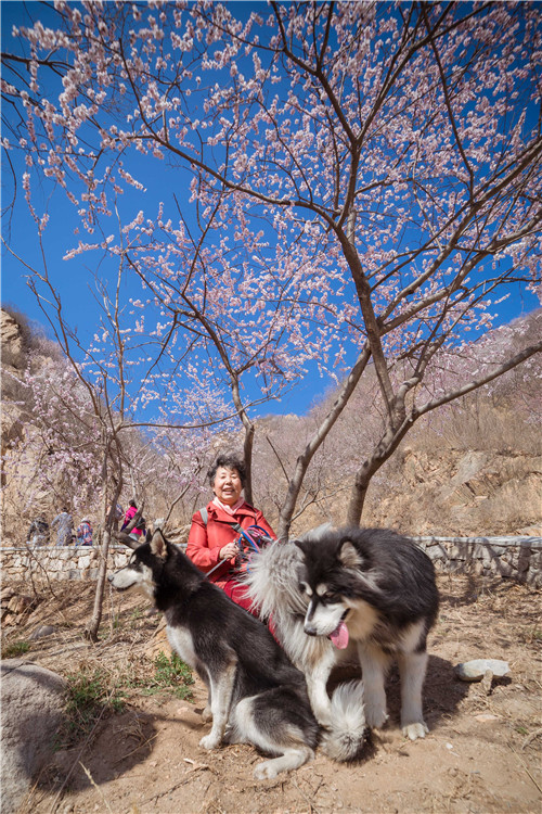 回顾欧帝亿和你相遇春の水长城