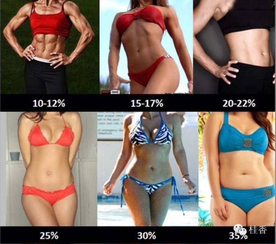 桂香-衣之道CH2:测量尺码,了解人生轨迹