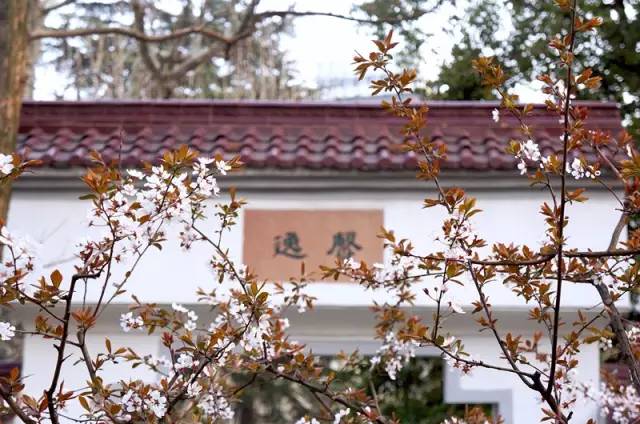 魔都最值得逛的76条马路，你都逛过了吗？