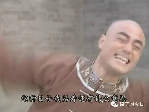 尔康表情包绿幕,尔康表情包原片段