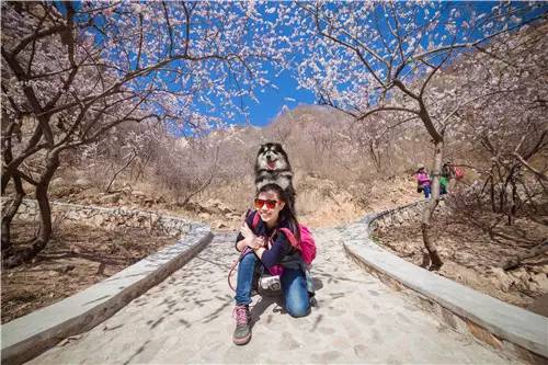 回顾欧帝亿和你相遇春の水长城