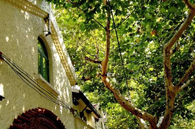 魔都最值得逛的76条马路，你都逛过了吗？