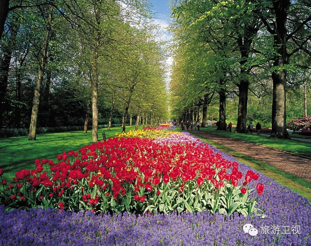 已经开放旅游签证申请的国家,现在开放旅游签证的国家