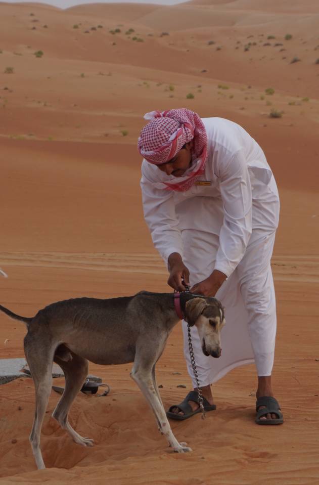 福利|直飞阿布扎比 乐享全球最*法大**拉利主题公园、星战绝美取景地