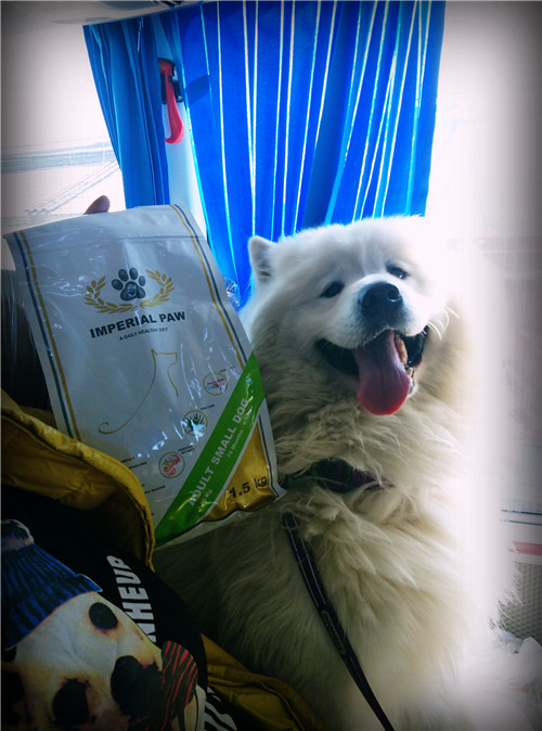 回顾欧帝亿和你相遇春の水长城