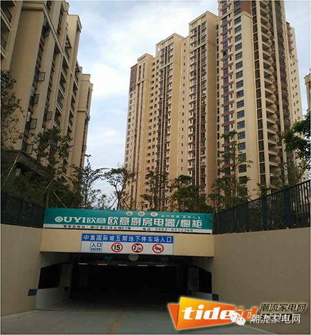 *江阳**欧意谢美红：把欧意当成毕生的事业来做