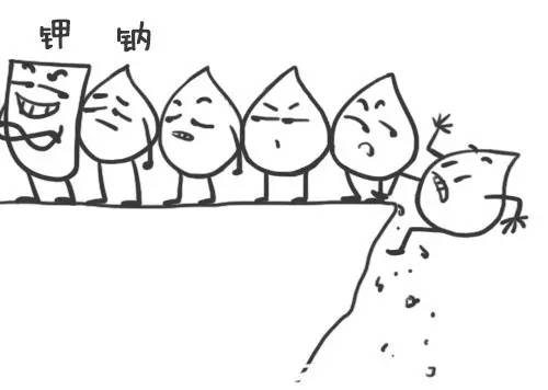 低钠低钾和血压有关系吗,低钠盐和钾有什么关系