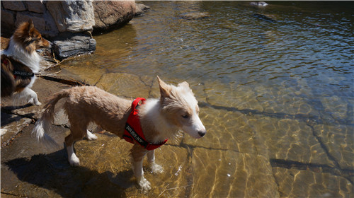 回顾欧帝亿和你相遇春の水长城